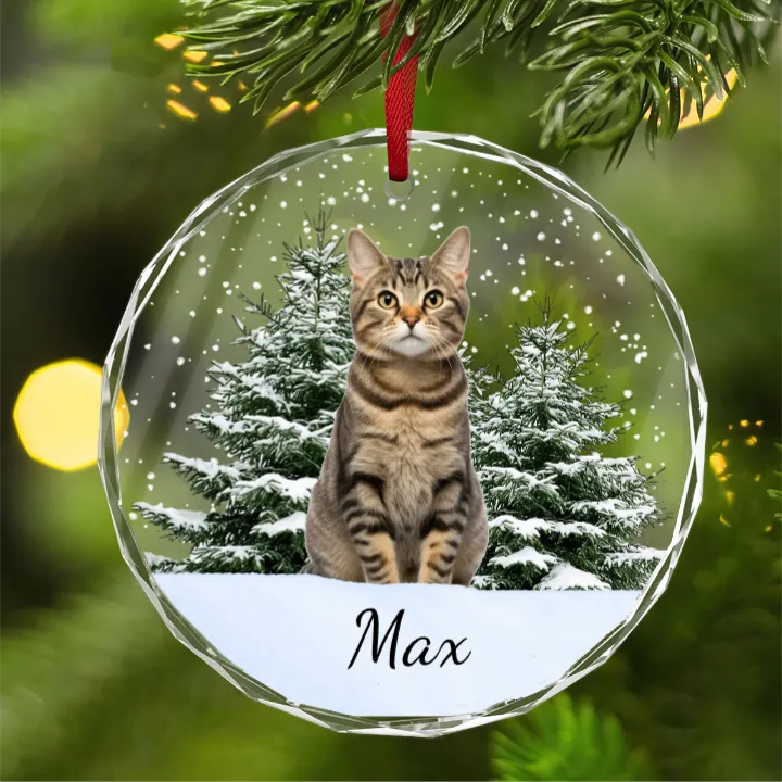 personalied pet ornaments