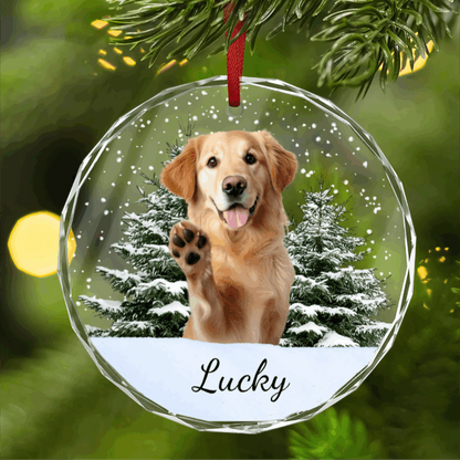 Personalized Christmas Ornament - Custom Pet Photo & Name Glass Ornament