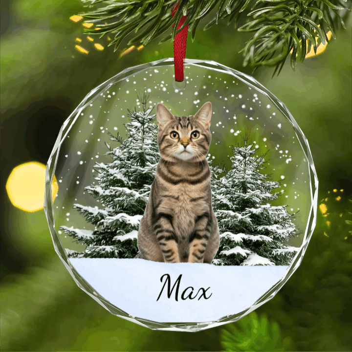 Personalized Christmas Ornament - Custom Pet Photo & Name Glass Ornament