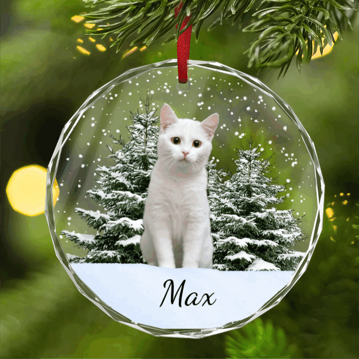 Personalized Christmas Ornament - Custom Pet Photo & Name Glass Ornament