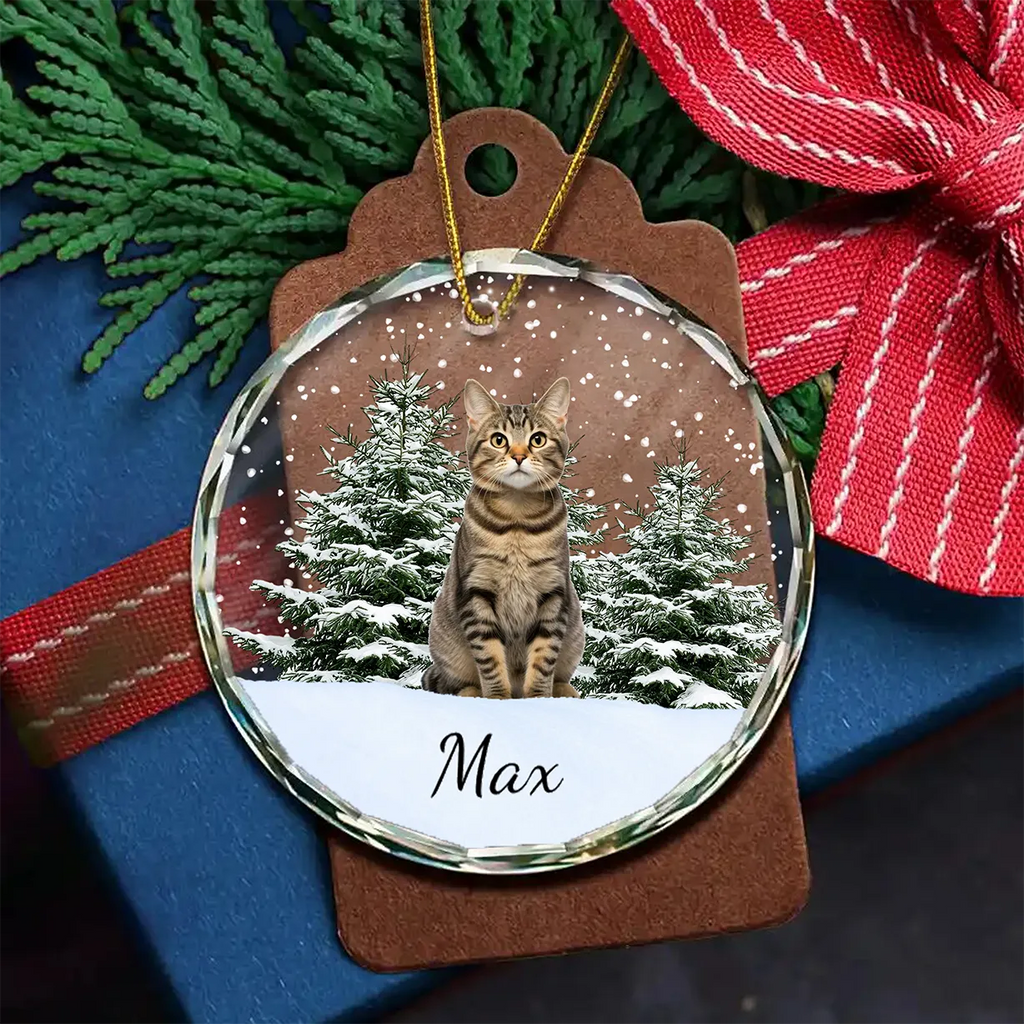 Custom Christmas ornaments